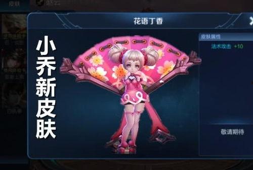 小乔爆料皮肤视频下载